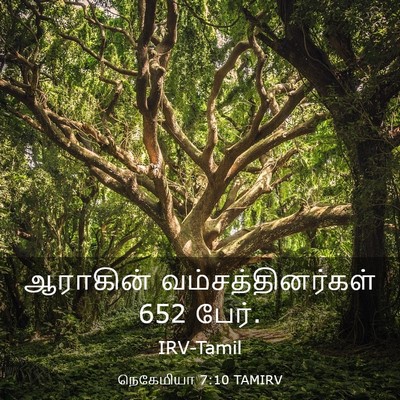 Picture 03 - நெகேமியா 7:10 TAMIRV - ஆராகின் - Bible Verse Picture