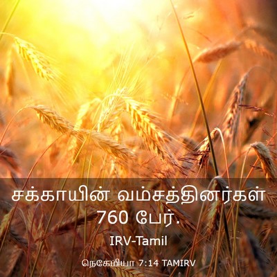 Picture 03 - நெகேமியா 7:14 TAMIRV - சக்காயின் - Bible Verse Picture