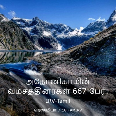 Picture 03 - நெகேமியா 7:18 TAMIRV - அதோனிகாமின் - Bible Verse Picture