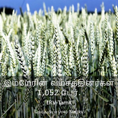 Picture 03 - நெகேமியா 7:40 TAMIRV - இம்மேரின் - Bible Verse Picture