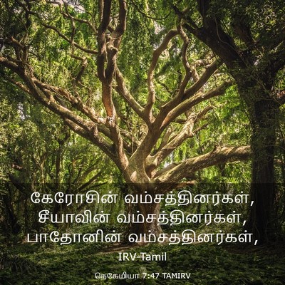 Picture 03 - நெகேமியா 7:47 TAMIRV - கேரோசின் - Bible Verse Picture