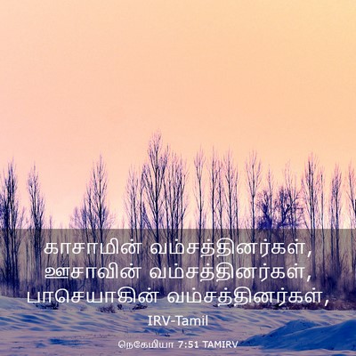 Picture 03 - நெகேமியா 7:51 TAMIRV - காசாமின் - Bible Verse Picture