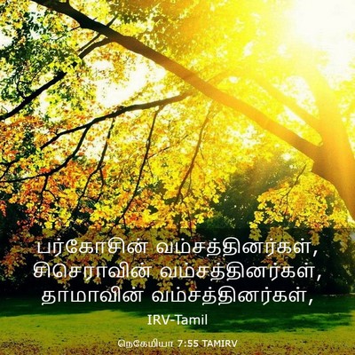 Picture 03 - நெகேமியா 7:55 TAMIRV - பர்கோசின் - Bible Verse Picture