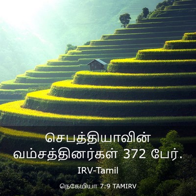 Picture 03 - நெகேமியா 7:9 TAMIRV - செபத்தியாவின் - Bible Verse Picture