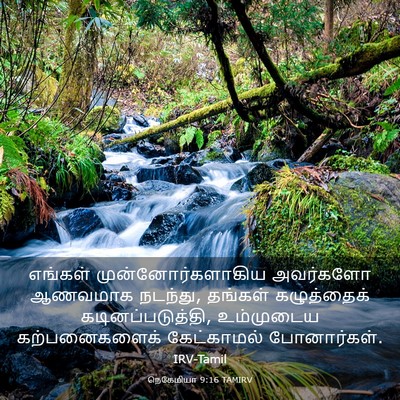 Picture 03 - நெகேமியா 9:16 TAMIRV - எங்கள் - Bible Verse Picture