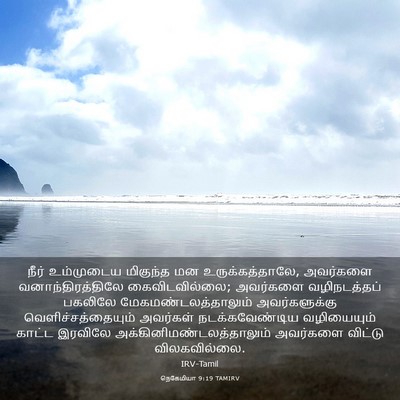 Picture 03 - நெகேமியா 9:19 TAMIRV - நீர் உம்முடைய - Bible Verse Picture