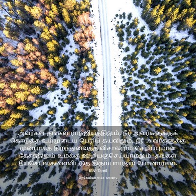 Picture 03 - நெகேமியா 9:35 TAMIRV - அவர்கள் தங்கள் - Bible Verse Picture