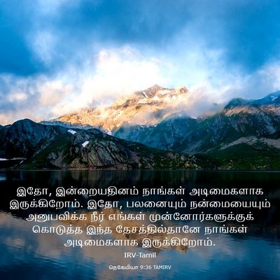 Picture 03 - நெகேமியா 9:36 TAMIRV - இதோ, இன்றையதினம் - Bible Verse Picture