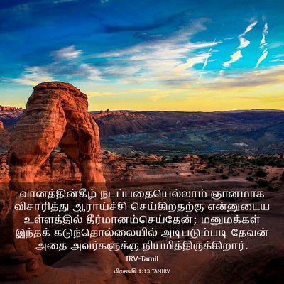 Picture 03 - பிரசங்கி 1:13 TAMIRV - வானத்தின்கீழ் - Bible Verse Picture