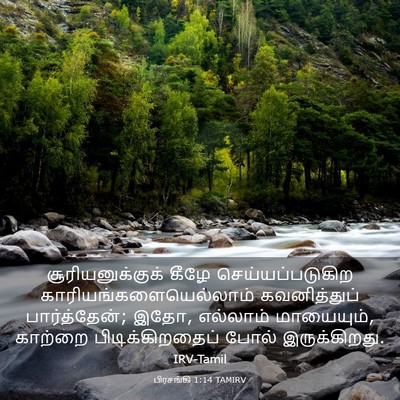 Picture 03 - பிரசங்கி 1:14 TAMIRV - சூரியனுக்குக் - Bible Verse Picture
