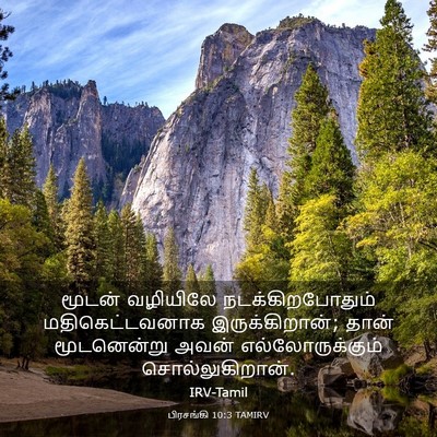 Picture 03 - பிரசங்கி 10:3 TAMIRV - மூடன் வழியிலே - Bible Verse Picture