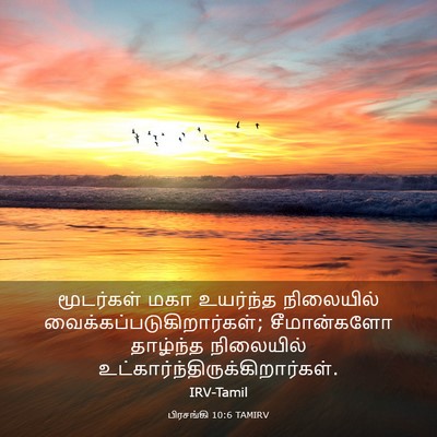Picture 03 - பிரசங்கி 10:6 TAMIRV - மூடர்கள் மகா - Bible Verse Picture