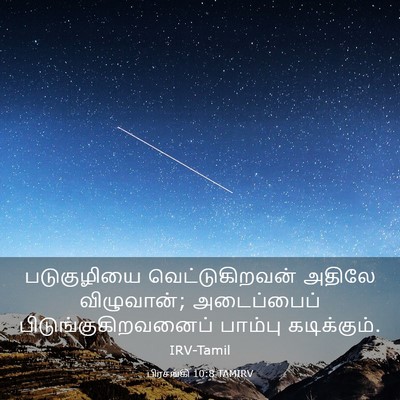 Picture 03 - பிரசங்கி 10:8 TAMIRV - படுகுழியை - Bible Verse Picture