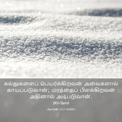 Picture 03 - பிரசங்கி 10:9 TAMIRV - கல்லுகளைப் - Bible Verse Picture