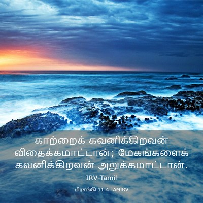 Picture 03 - பிரசங்கி 11:4 TAMIRV - காற்றைக் - Bible Verse Picture