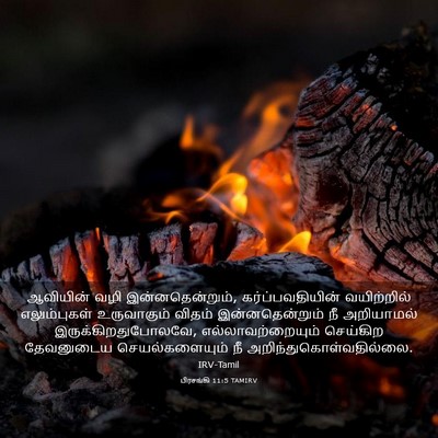 Picture 03 - பிரசங்கி 11:5 TAMIRV - ஆவியின் வழி - Bible Verse Picture