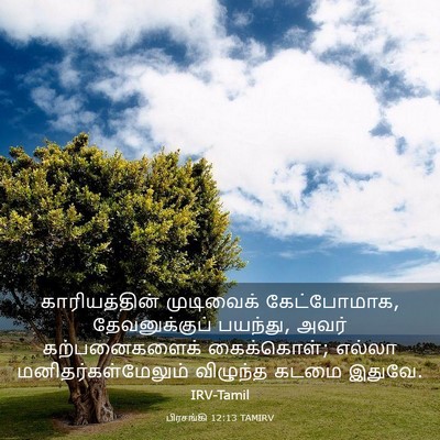 Picture 03 - பிரசங்கி 12:13 TAMIRV - காரியத்தின் - Bible Verse Picture