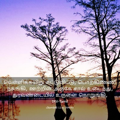Picture 03 - பிரசங்கி 12:6 TAMIRV - வெள்ளிக்கயிறு - Bible Verse Picture