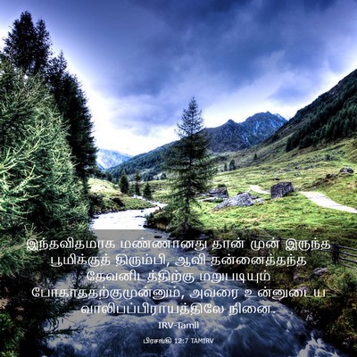 Picture 03 - பிரசங்கி 12:7 TAMIRV - இந்தவிதமாக - Bible Verse Picture