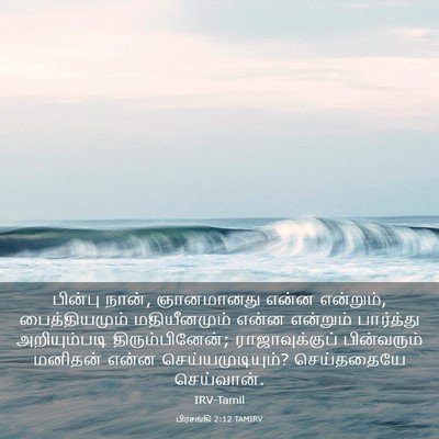 Picture 03 - பிரசங்கி 2:12 TAMIRV - பின்பு நான், - Bible Verse Picture