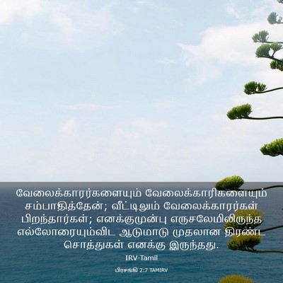 Picture 03 - பிரசங்கி 2:7 TAMIRV -  - Bible Verse Picture