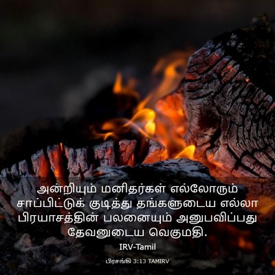 Picture 03 - பிரசங்கி 3:13 TAMIRV - அன்றியும் - Bible Verse Picture