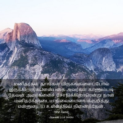 Picture 03 - பிரசங்கி 3:18 TAMIRV - மனிதர்கள் தாங்கள் - Bible Verse Picture