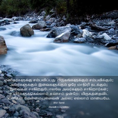 Picture 03 - பிரசங்கி 3:19 TAMIRV - மனிதர்களுக்கு - Bible Verse Picture