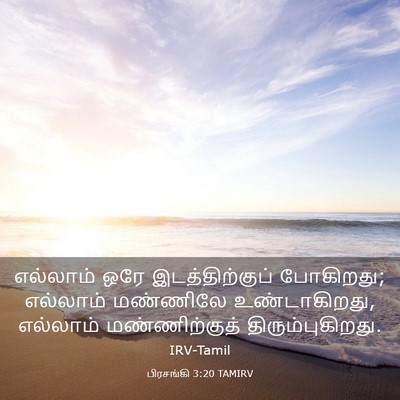 Picture 03 - பிரசங்கி 3:20 TAMIRV - எல்லாம் ஒரே - Bible Verse Picture
