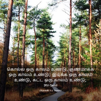 Picture 03 - பிரசங்கி 3:3 TAMIRV - கொல்ல ஒரு காலம் - Bible Verse Picture