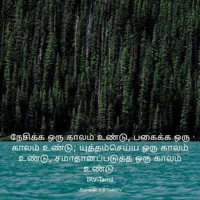 Picture 03 - பிரசங்கி 3:8 TAMIRV - நேசிக்க ஒரு காலம் - Bible Verse Picture