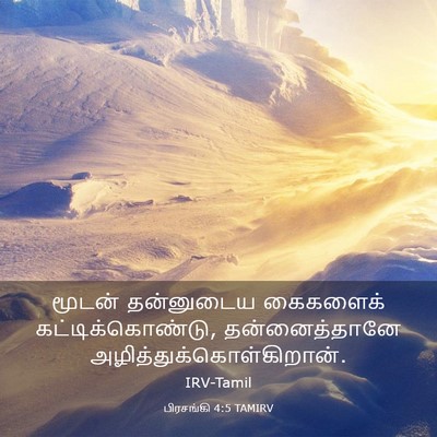 Picture 03 - பிரசங்கி 4:5 TAMIRV - மூடன் தன்னுடைய - Bible Verse Picture