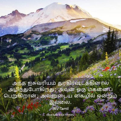 Picture 03 - பிரசங்கி 5:14 TAMIRV - அந்த ஐசுவரியம் - Bible Verse Picture
