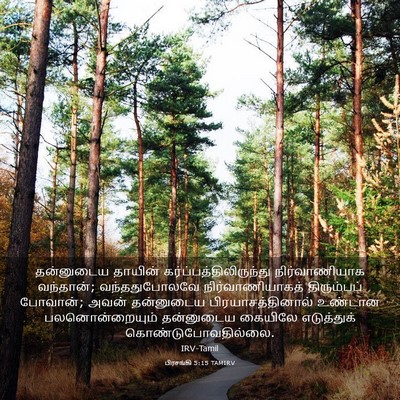 Picture 03 - பிரசங்கி 5:15 TAMIRV - தன்னுடைய தாயின் - Bible Verse Picture