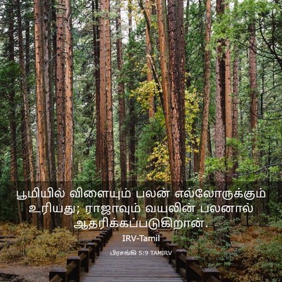 Picture 03 - பிரசங்கி 5:9 TAMIRV - பூமியில் விளையும் - Bible Verse Picture