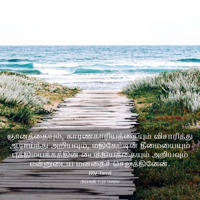Picture 03 - பிரசங்கி 7:25 TAMIRV - ஞானத்தையும், - Bible Verse Picture