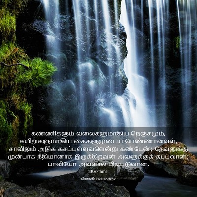 Picture 03 - பிரசங்கி 7:26 TAMIRV - கண்ணிகளும் - Bible Verse Picture