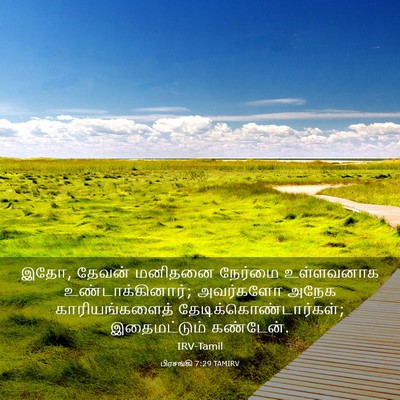 Picture 03 - பிரசங்கி 7:29 TAMIRV - இதோ, தேவன் மனிதனை - Bible Verse Picture