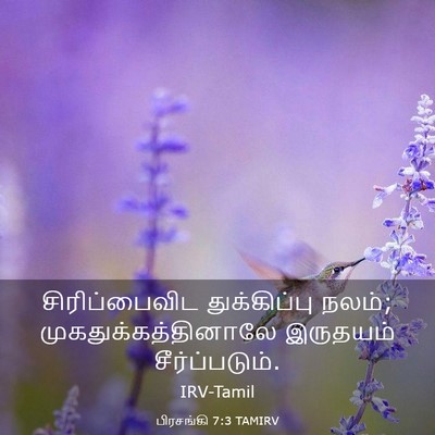 Picture 03 - பிரசங்கி 7:3 TAMIRV - சிரிப்பைவிட - Bible Verse Picture