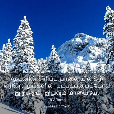 Picture 03 - பிரசங்கி 7:6 TAMIRV - மூடனின் சிரிப்பு - Bible Verse Picture