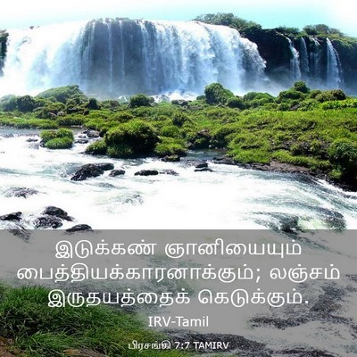 Picture 03 - பிரசங்கி 7:7 TAMIRV - இடுக்கண் - Bible Verse Picture