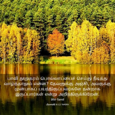 Picture 03 - பிரசங்கி 8:12 TAMIRV - பாவி நூறுதரம் - Bible Verse Picture
