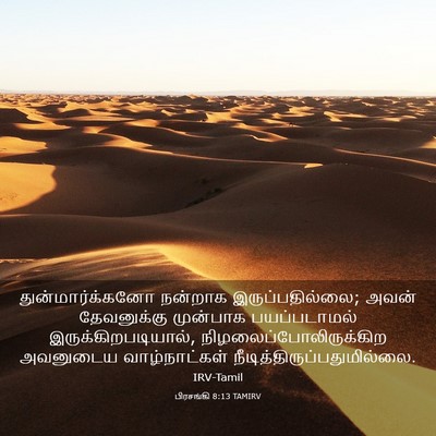 Picture 03 - பிரசங்கி 8:13 TAMIRV - துன்மார்க்கனோ - Bible Verse Picture