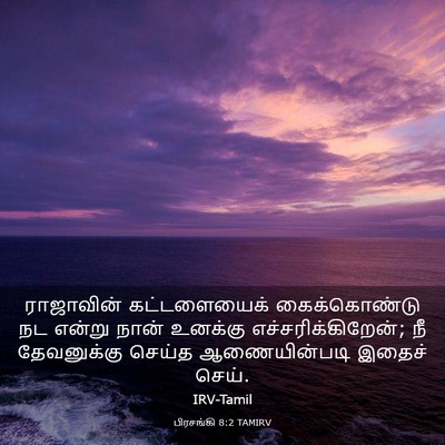 Picture 03 - பிரசங்கி 8:2 TAMIRV - ராஜாவின் - Bible Verse Picture