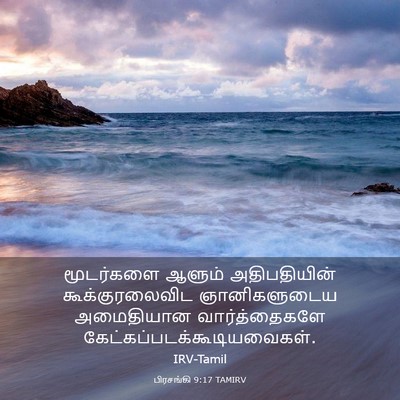 Picture 03 - பிரசங்கி 9:17 TAMIRV - மூடர்களை ஆளும் - Bible Verse Picture