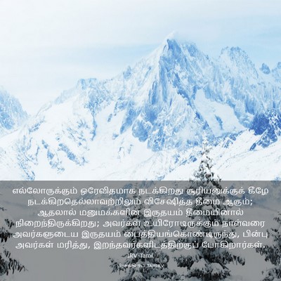 Picture 03 - பிரசங்கி 9:3 TAMIRV - எல்லோருக்கும் - Bible Verse Picture