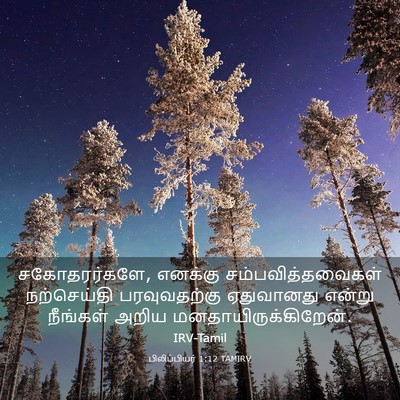 Picture 03 - பிலிப்பியர் 1:12 TAMIRV - சகோதரர்களே, - Bible Verse Picture
