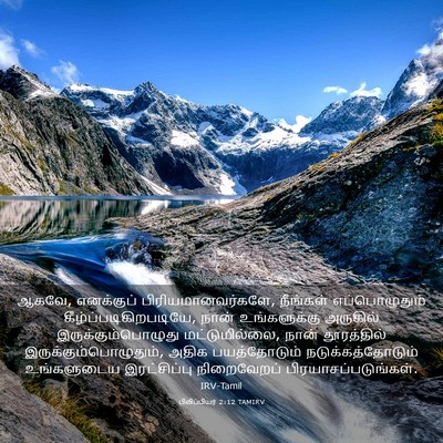 Picture 03 - பிலிப்பியர் 2:12 TAMIRV - ஆகவே, எனக்குப் - Bible Verse Picture