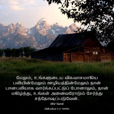 Picture 03 - பிலிப்பியர் 2:17 TAMIRV - மேலும், உங்களுடைய - Bible Verse Picture