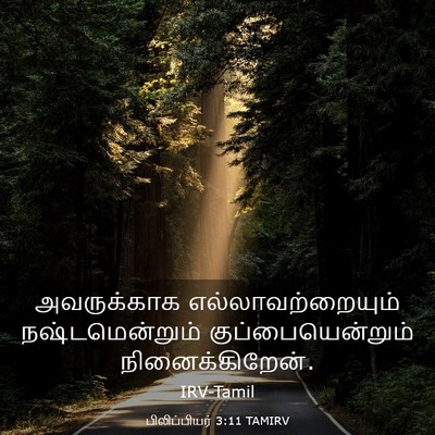 Picture 03 - பிலிப்பியர் 3:11 TAMIRV - அவருக்காக - Bible Verse Picture